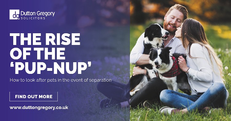 The rise of the Pup-Nup